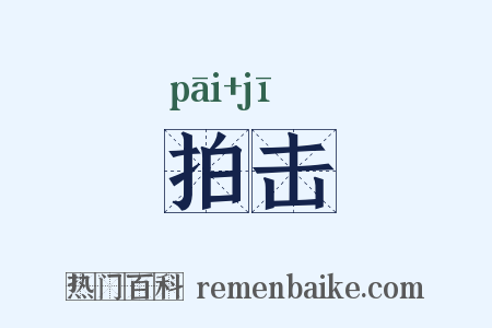 拍击是什么意思的图片